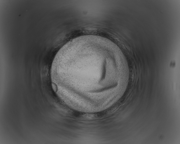X0000089360711200707131615