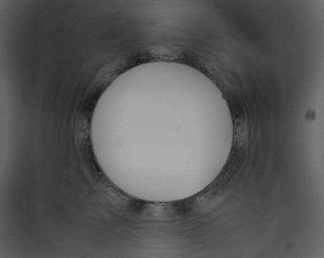 X0000089360713200707131615