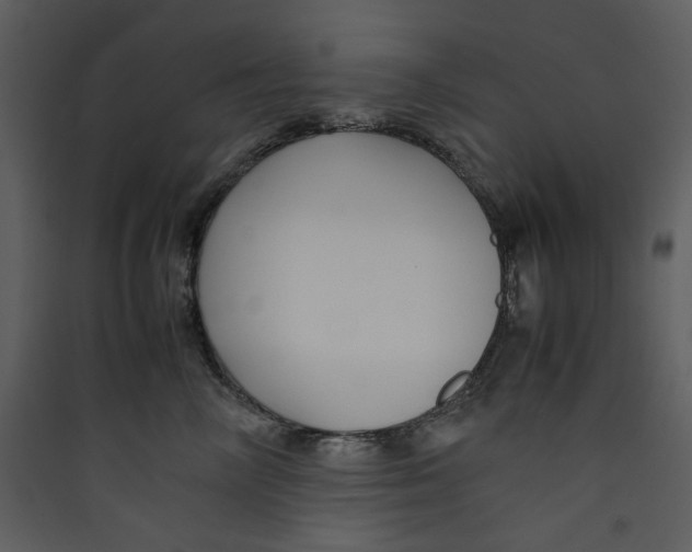 X0000089360714200707131615