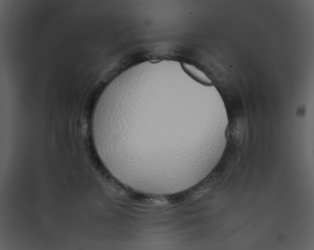 X0000089360715200707131615