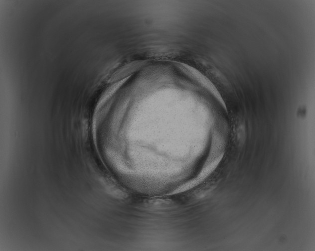 X0000089360716200707131615