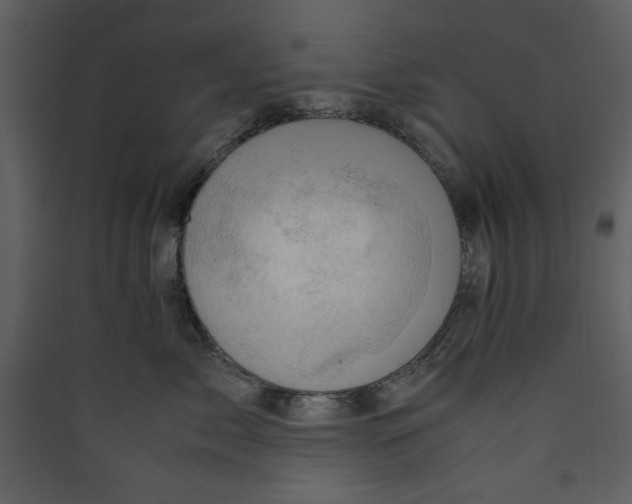 X0000089360717200707131615