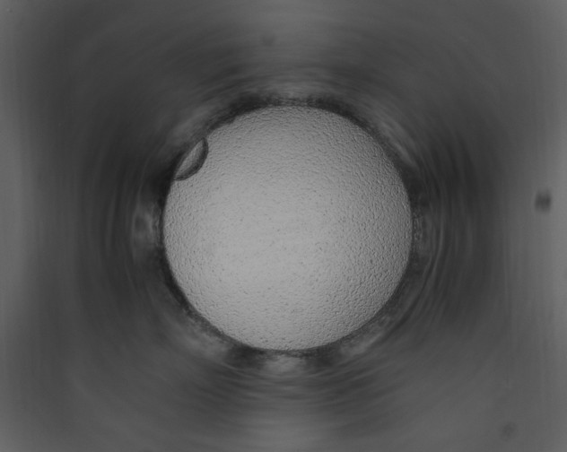 X0000089360718200707131615