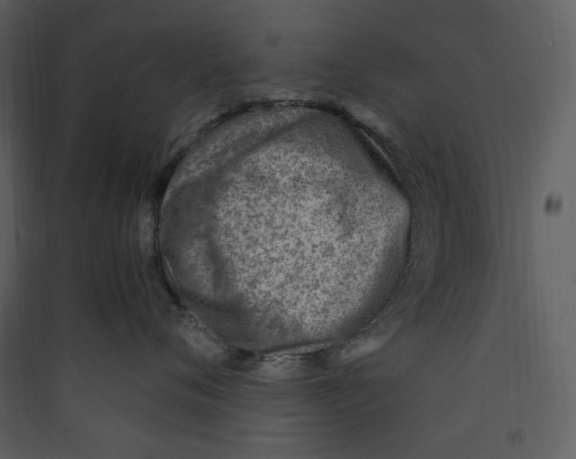 X0000089360720200707131615