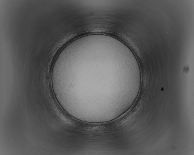X0000089360721200707131614