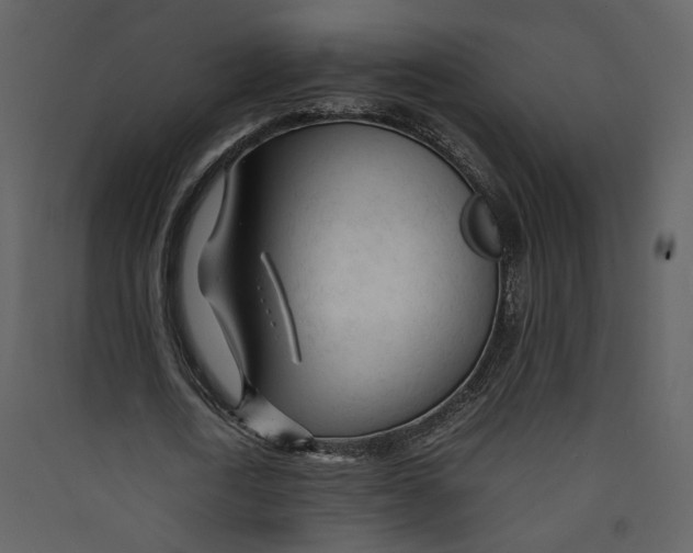 X0000089360722200707131614