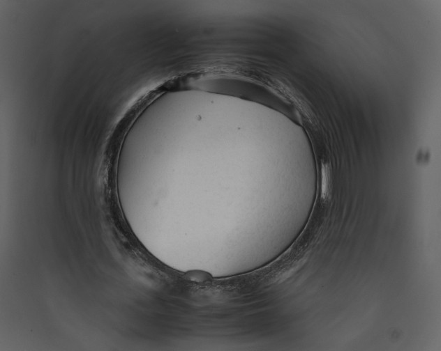 X0000089360723200707131614