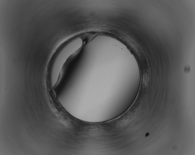 X0000089360724200707131614