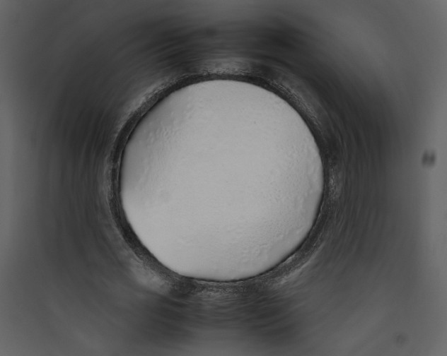 X0000089360725200707131614