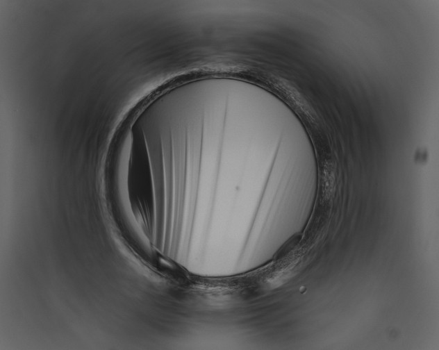 X0000089360726200707131614