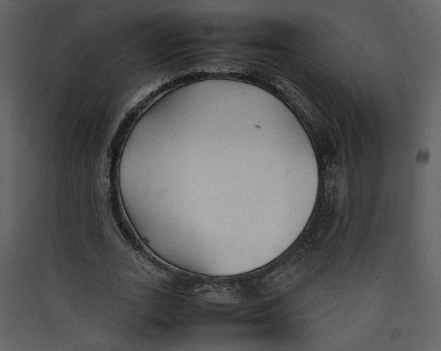X0000089360727200707131614