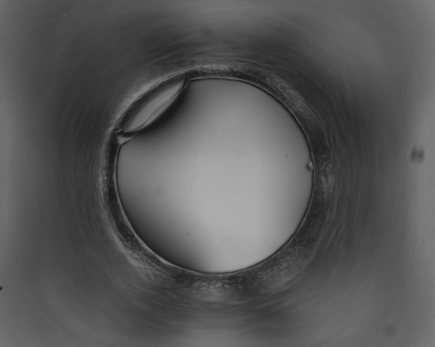 X0000089360728200707131614