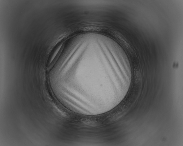 X0000089360729200707131614