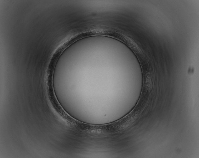 X0000089360730200707131614