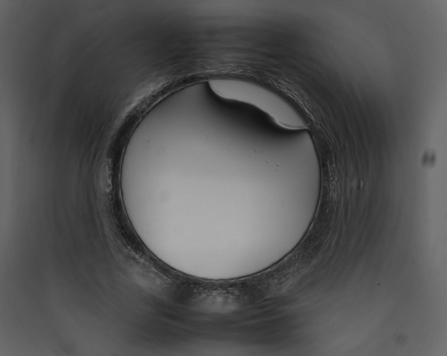 X0000089360731200707131614