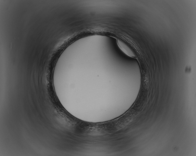 X0000089360732200707131614