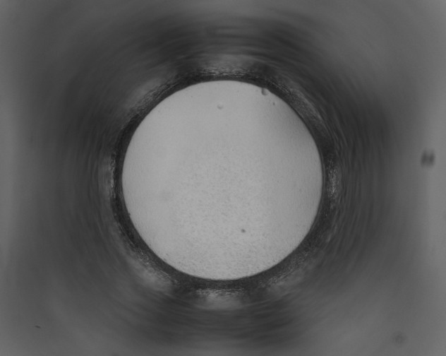X0000089360733200707131614