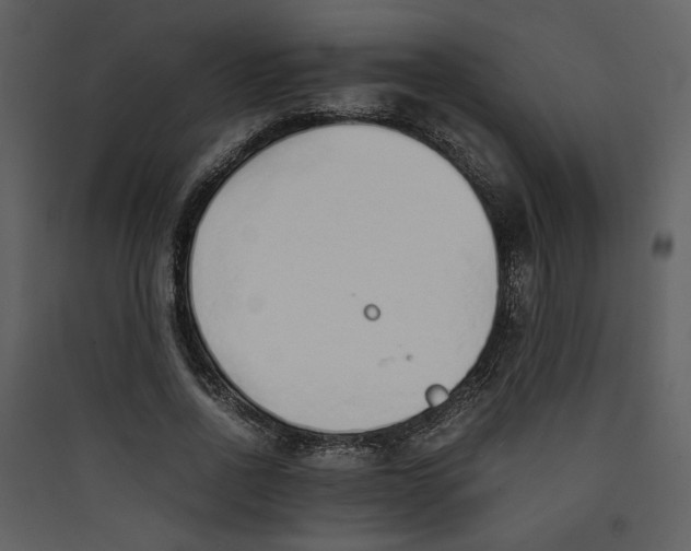 X0000089360734200707131614
