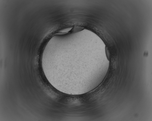 X0000089360735200707131614