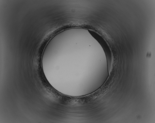 X0000089360736200707131614