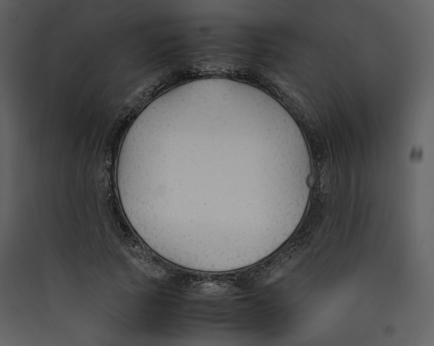 X0000089360737200707131614