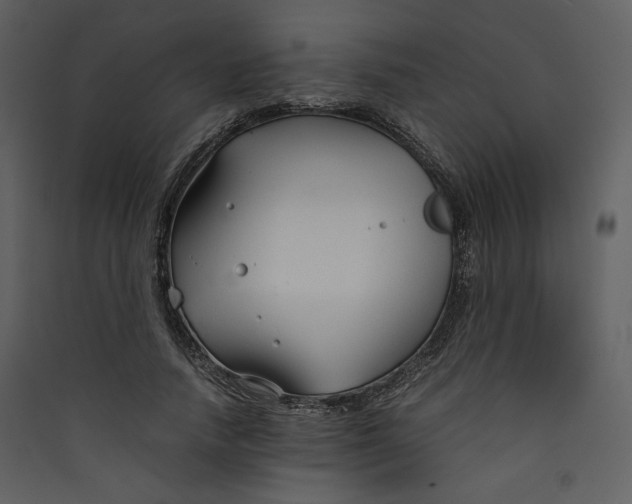 X0000089360738200707131614