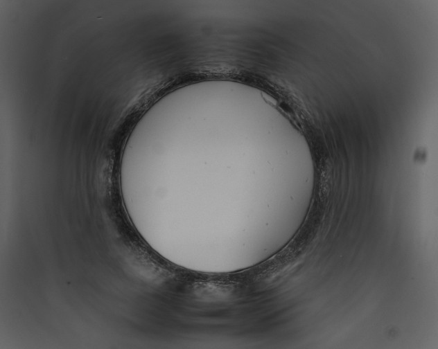 X0000089360739200707131614