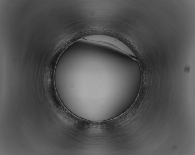 X0000089360740200707131614
