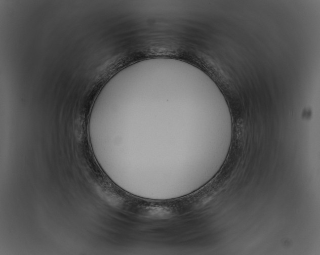 X0000089360741200707131614