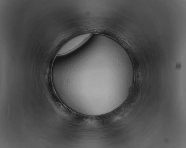 X0000089360742200707131614