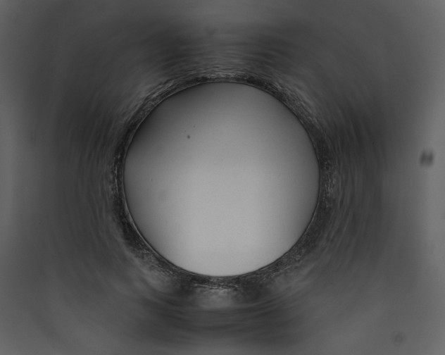 X0000089360743200707131614