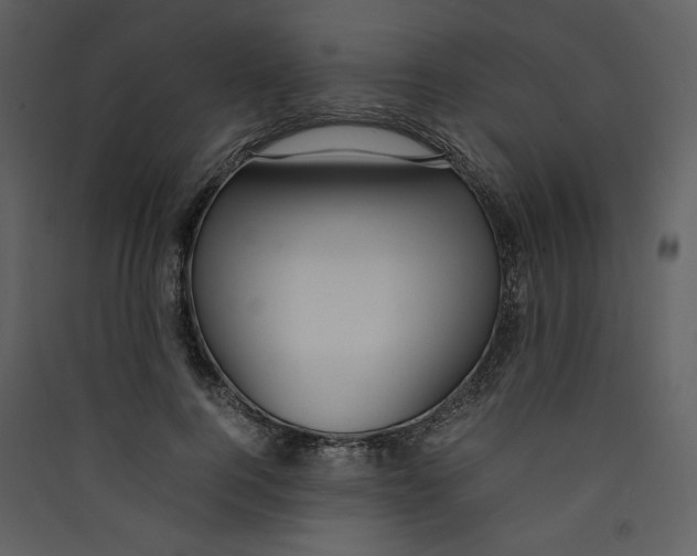 X0000089360744200707131614