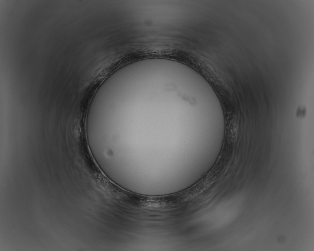 X0000089360746200707131614
