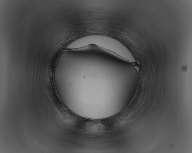 X0000089360747200707131614