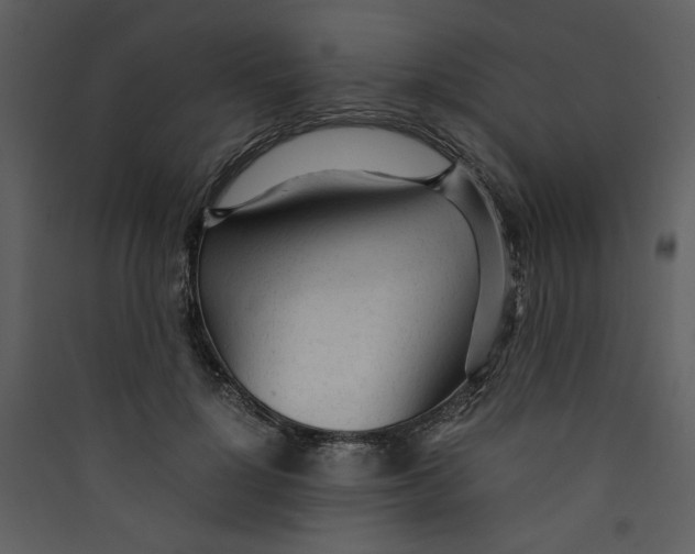 X0000089360748200707131614