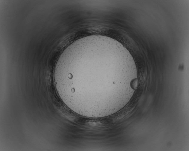 X0000089360749200707131614
