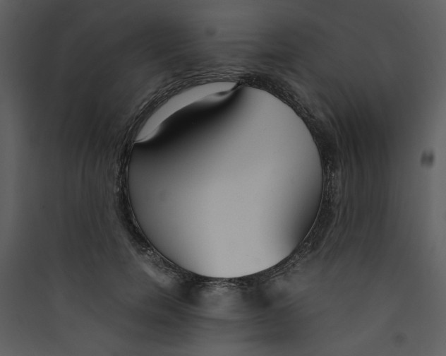 X0000089360750200707131614