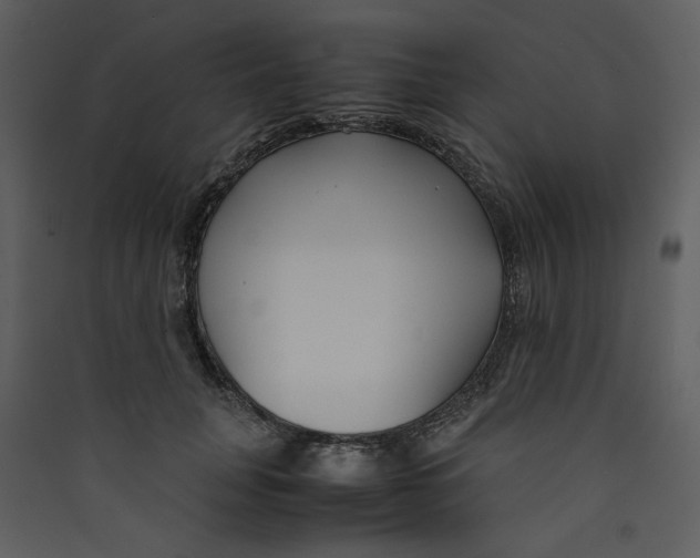 X0000089360751200707131614