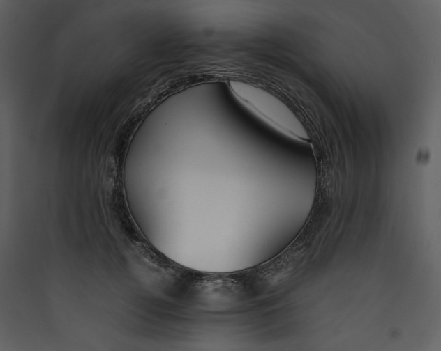 X0000089360752200707131614
