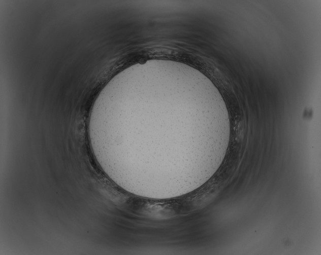 X0000089360753200707131615