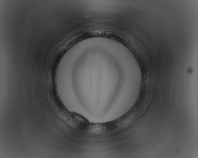 X0000089360754200707131615
