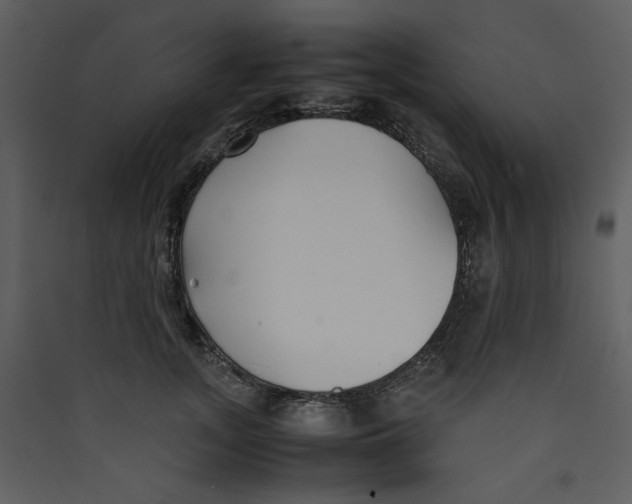 X0000089360755200707131615