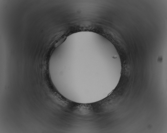 X0000089360756200707131615