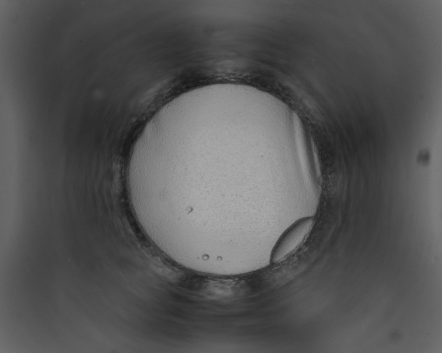X0000089360757200707131615