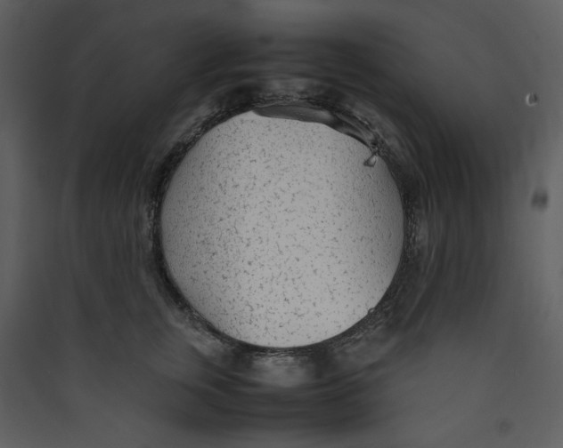 X0000089360759200707131615
