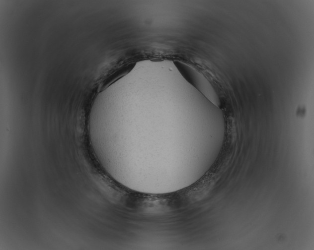 X0000089360760200707131615