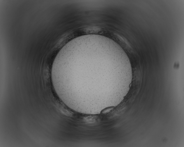 X0000089360761200707131615
