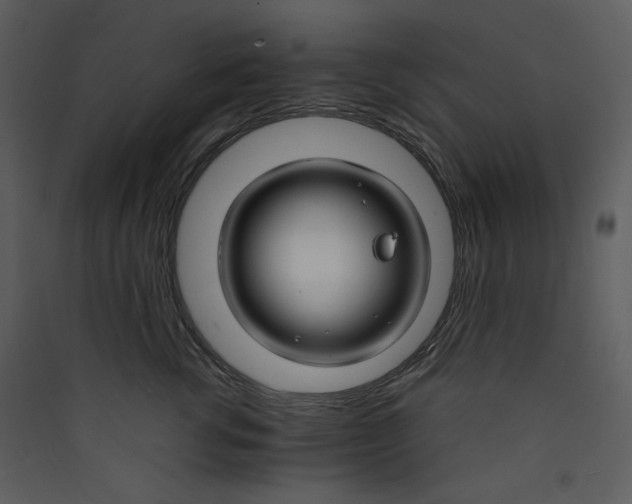 X0000089360762200707131615