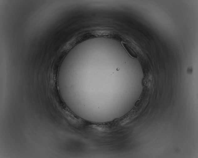 X0000089360763200707131615