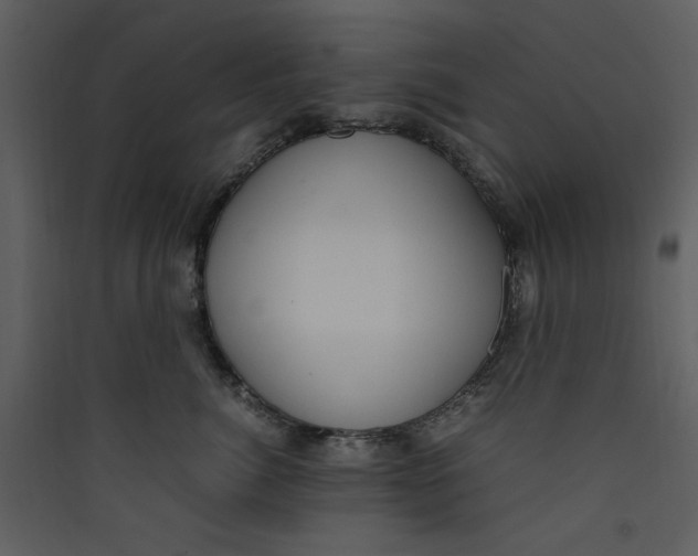 X0000089360764200707131615